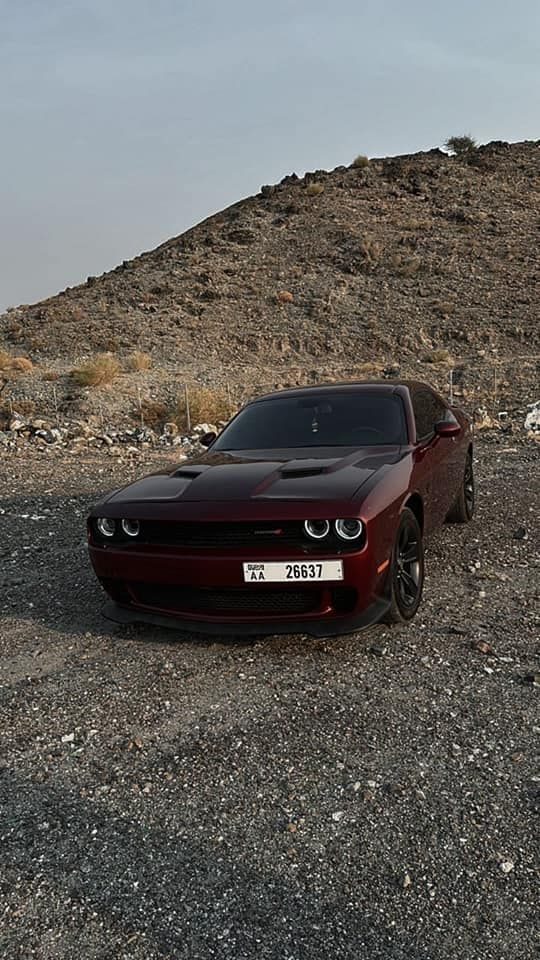 2019 Dodge Challenger in Dubai